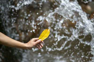 Cropped image of person splashing water