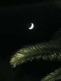 Low angle view of moon at night