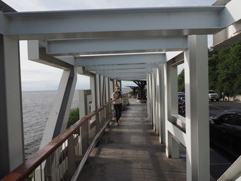 Rear view of man on railing by sea