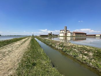 Rice fields in piedmon landscape