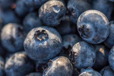 Full frame shot of blueberries