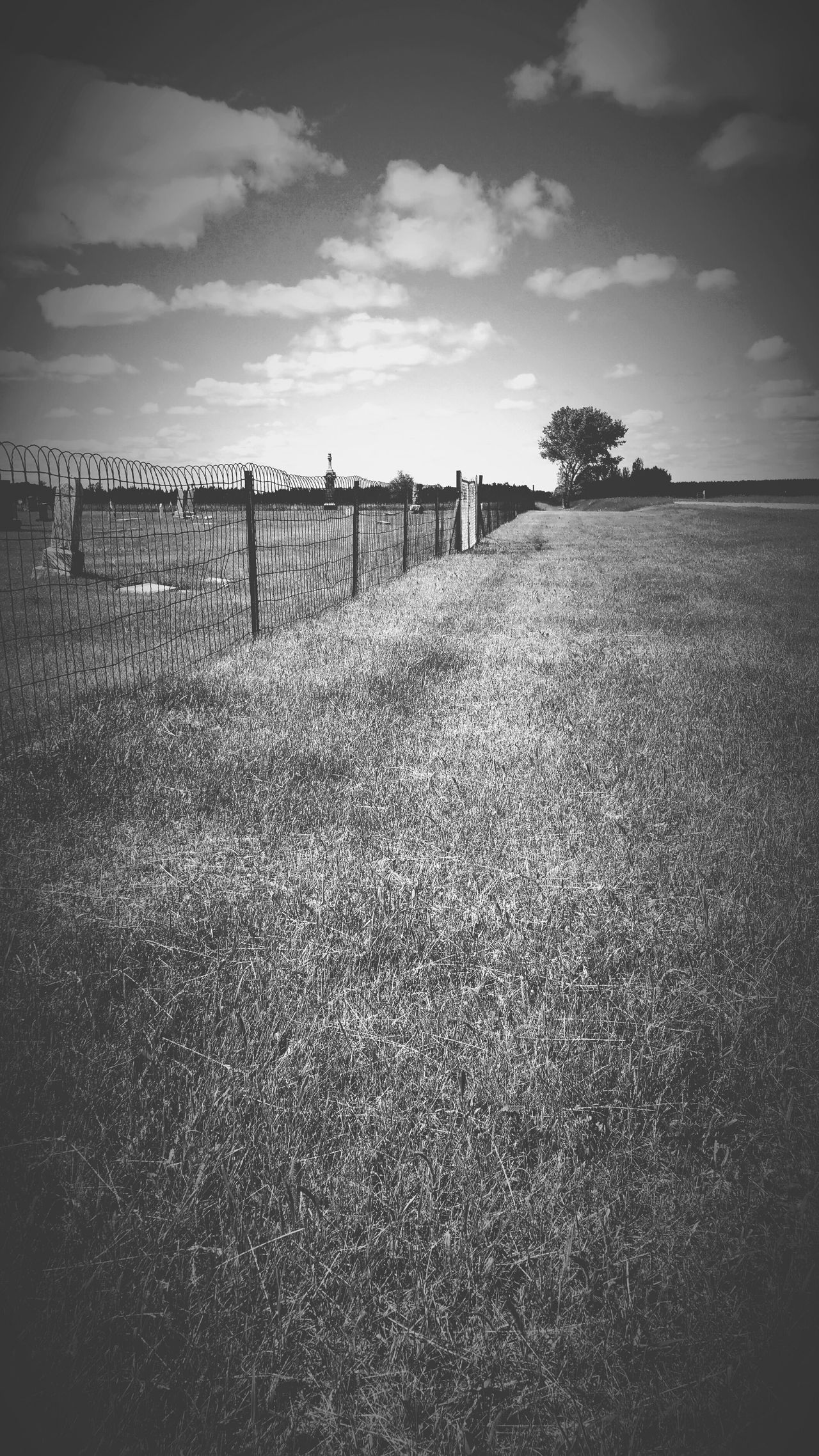 1800's cemetery