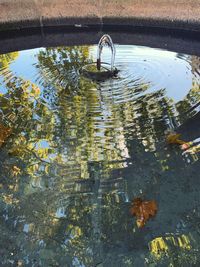 High angle view of floating on water