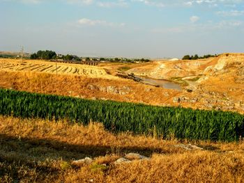 Scenic view of agricultural field against sky