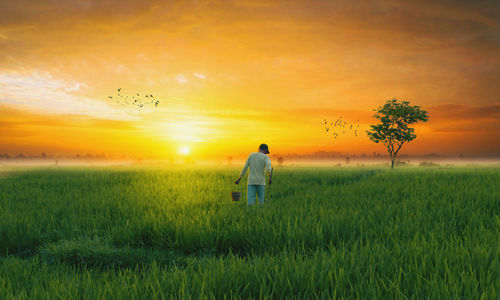 Rear view of man standing on field against sky during sunset