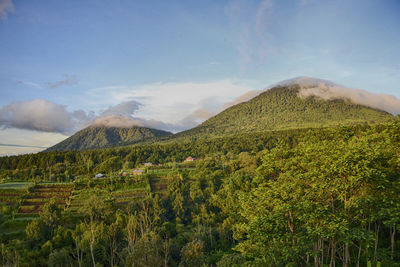 Idyllic shot of green landscape and mountains at tabanan regency against sky