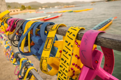 Close-up of colorful flowers