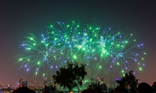 Low angle view of firework display at night