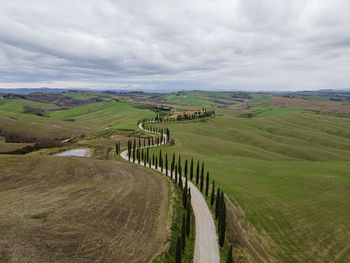 Scenic view of agricultural field against sky