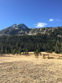 Scenic view of landscape against blue sky