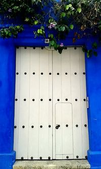 Closed door of house