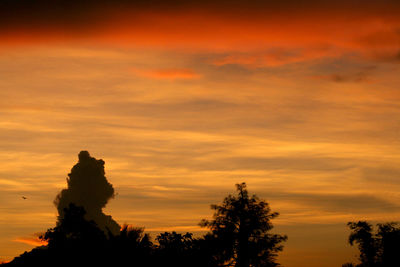 Low angle view of silhouette trees against orange sky