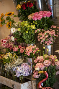 Flowers growing in market for sale