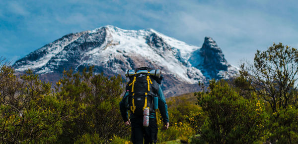 Man standing by plants against mountains