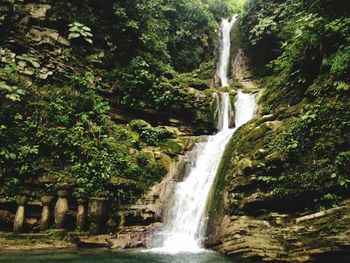 Scenic view of waterfall in forest