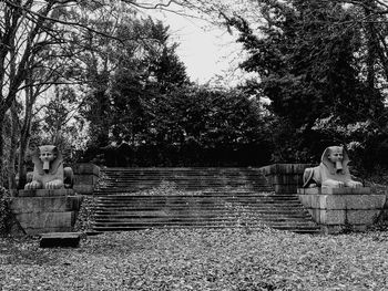 Man sitting on bench in park
