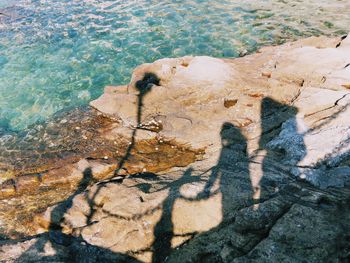 High angle view of shadow on rock