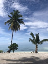 Palm trees on beach against sky