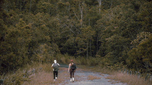 People walking on riverbank in forest
