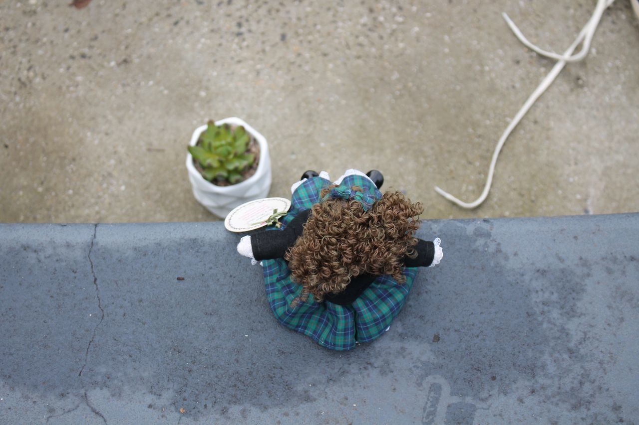 green, high angle view, blue, day, no people, nature, outdoors, plant, art, jewellery, environmental conservation, flower