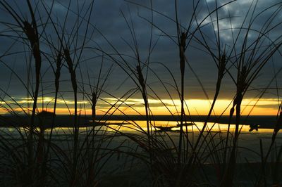 Scenic view of sunset over sea