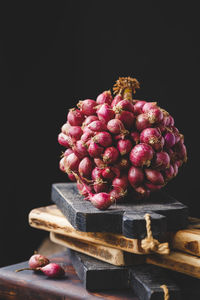 Close-up of pink flowers against black background
