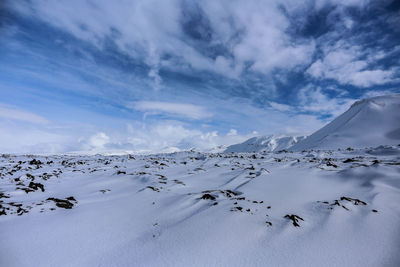 Flock of birds on snow covered landscape against sky