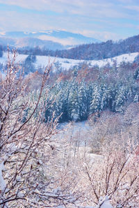 View of snow covered landscape against sky