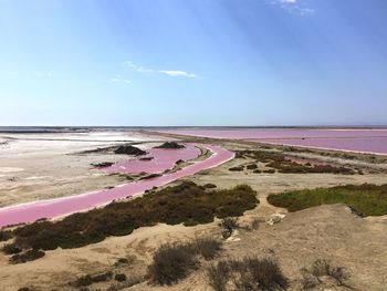 Scenic view of red salt lake against sky