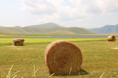 Scenic view of field against sky