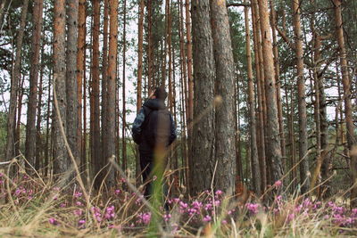 Rear view of man walking in forest