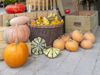Pumpkins in market