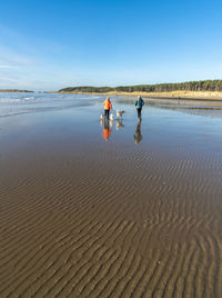 People on beach against sky