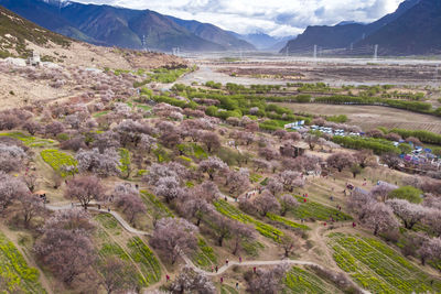 High angle view of field against sky