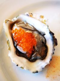 Close-up of food