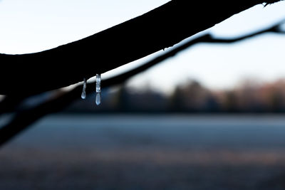 Close-up of water drop against sky