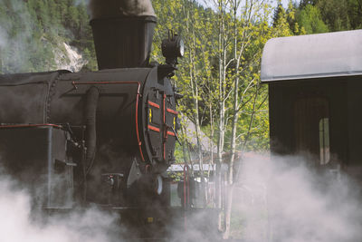 Train against trees