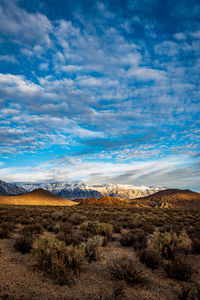 Arid high desert distant dark hills and snowy mountains under morning sky clouds