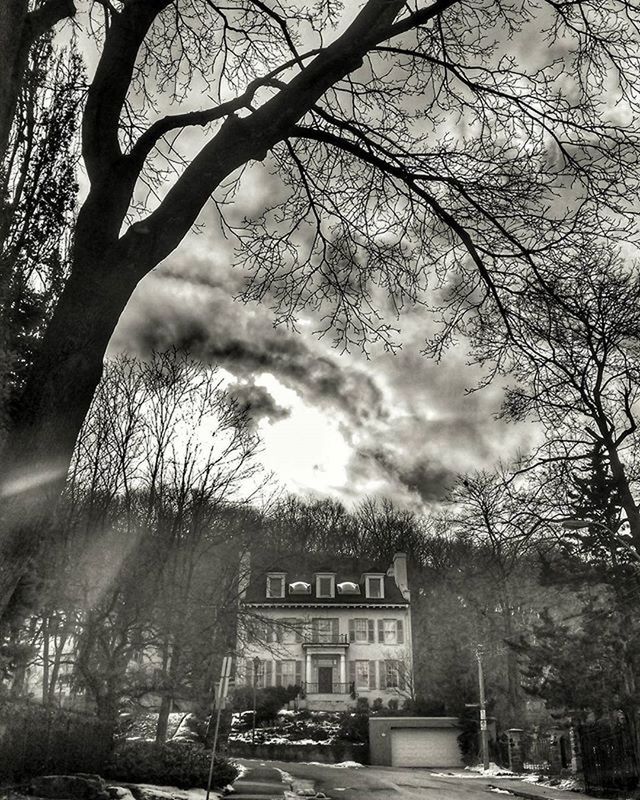 tree, architecture, building exterior, built structure, bare tree, transportation, sky, car, street, road, land vehicle, city, cloud - sky, the way forward, branch, cloudy, weather, mode of transport, building, day