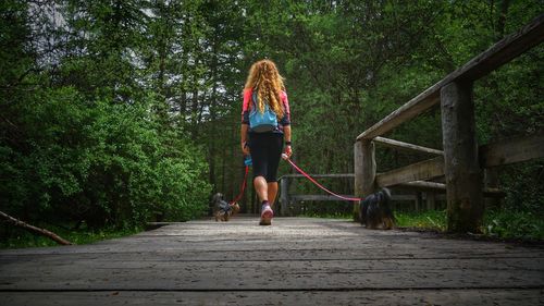 Rear view of woman with dog walking in park