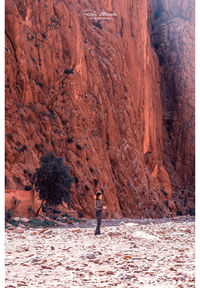 Rear view of person standing on rock