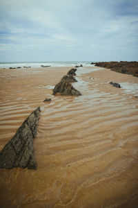 Driftwood on beach against sky