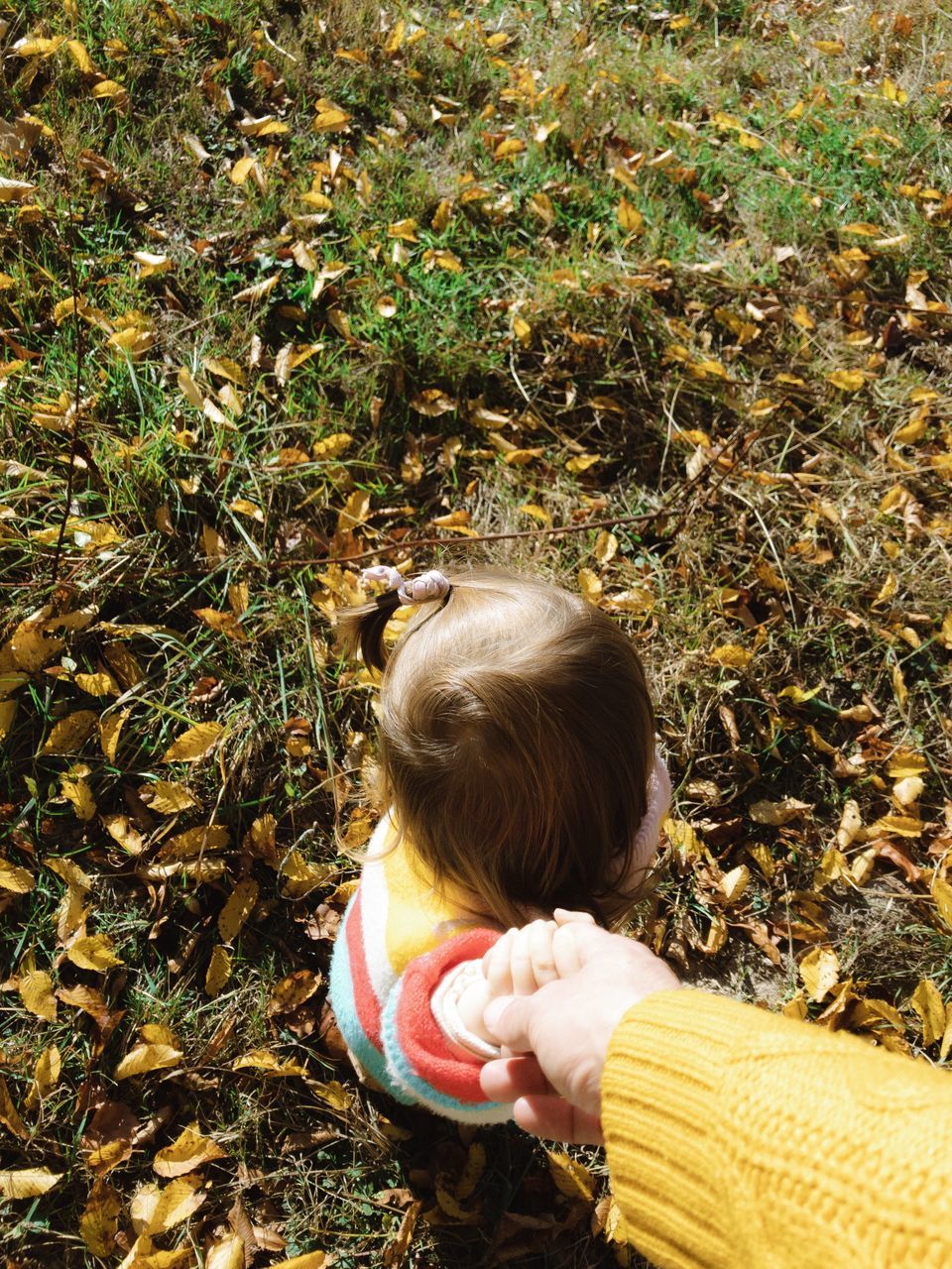 HIGH ANGLE VIEW OF GIRL ON FIELD AT HOME