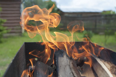 Close-up of firewood burning in fire pit