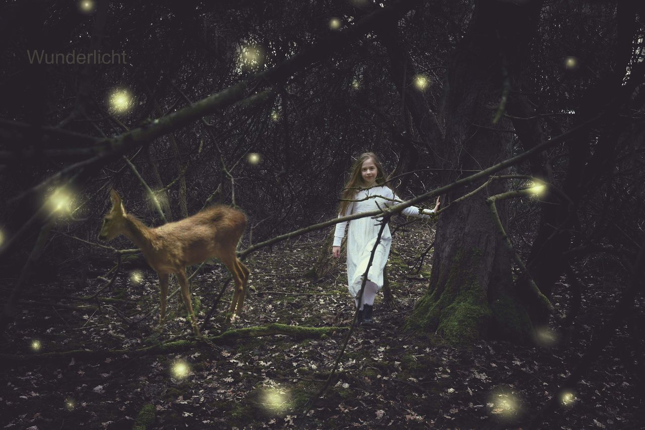 WOMAN STANDING BY ILLUMINATED TREE