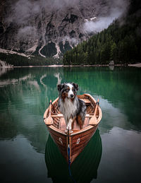Dog standing in boat on lake