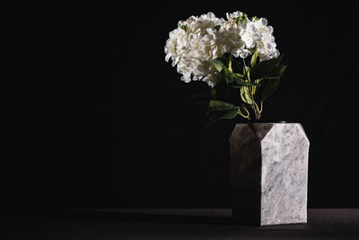 Close-up of white flower vase against black background