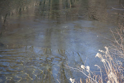 High angle view of rippled water