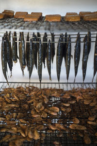 High angle view of fish for sale