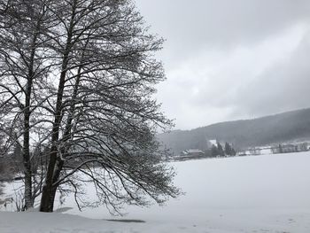 Bare trees on snow covered land against sky